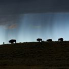 Rainshower
