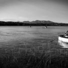 A Banyoles Afternoon