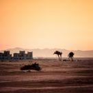 Desert Solitude