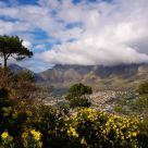 Table Montain