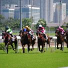 2010 Horse Racing