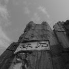Stone Forest