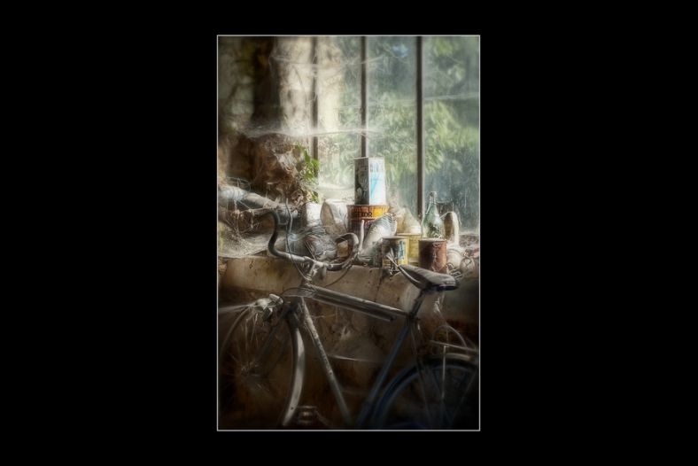 Old cycle, old webs