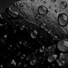 Drops