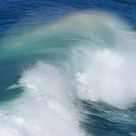 Color In The Spray