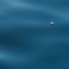 Dead in the water...