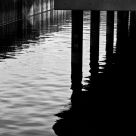 Water and Wood