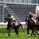 Horse Racing 2010
