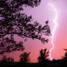 Dr. Suess Lightning