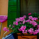 colors