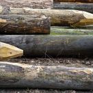 Logs