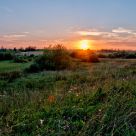 Sunset over the meadow #2