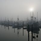 Morning Fog