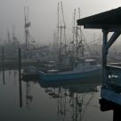 Closed Waters