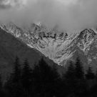 Foreboding