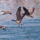 Take-Off