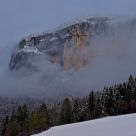 brouillard