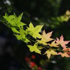 Autumn is approaching