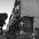 Neighbor Street
