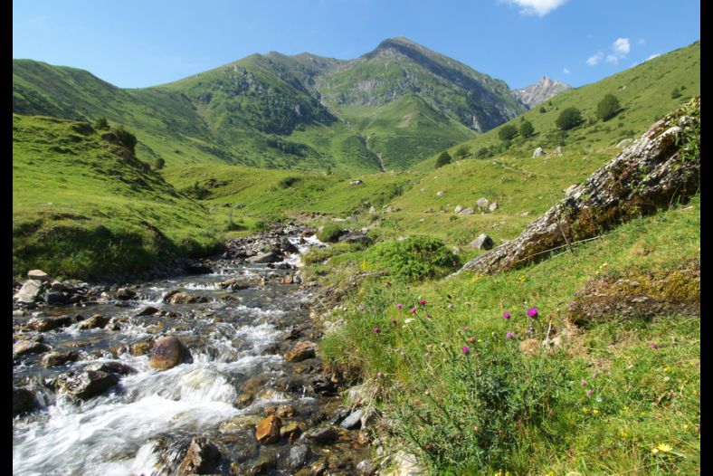 green hills