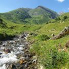 green hills