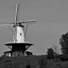 Dutch