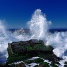 Hugh Splash On The Rock