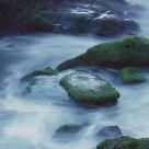 Green Mossy Rocks At Sunrise