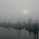 Fog