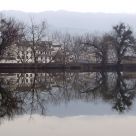 Mirror image