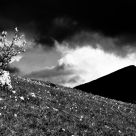Zone d'Ombra