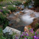 Going with the Flow