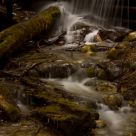 Iargo Springs