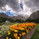 Catinaccio da Ciampedie