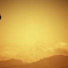 The Paraglider