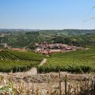 Barolo