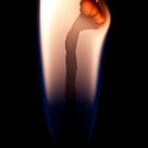Flowering Flame