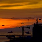The March of Urbanization