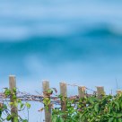 Beach Fence