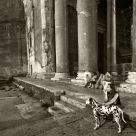 Rome nigth