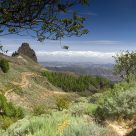 Roque Grande