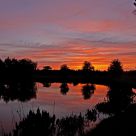 Summerfield Sunset II