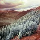 IR Landscape