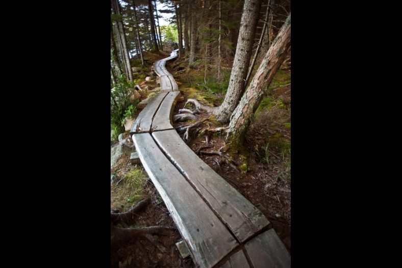 Crooked path