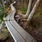 Crooked path