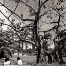 Courting Couple