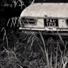 Overgrown