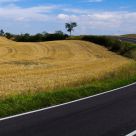 Tuscany