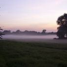 Evening Mist
