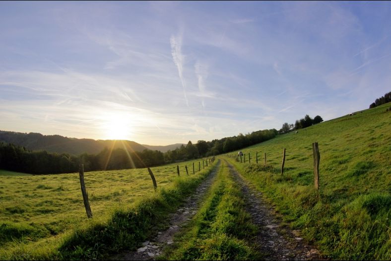 Early Morning in the Eifel